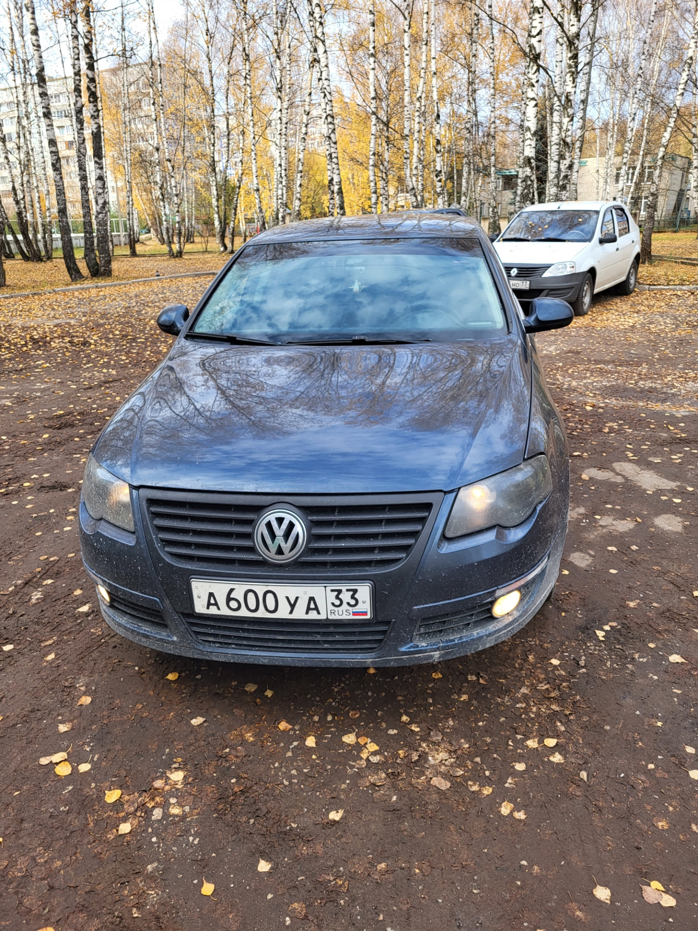 Динамические поворотники — Volkswagen Passat B6, 2 л, 2006 года ...