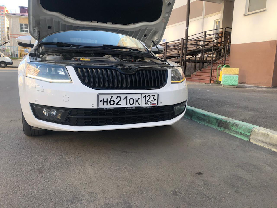 Skoda octavia led фары. Skoda Octavia a7 led. 1z0807241a Octavia. Octavia 8 такси.