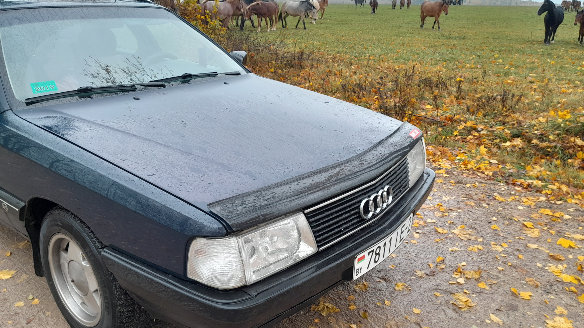 Audi 100 Avant (C3) 1.8 бензиновый 1990 | АВАНТ БЕЛАРУСЬ на DRIVE2