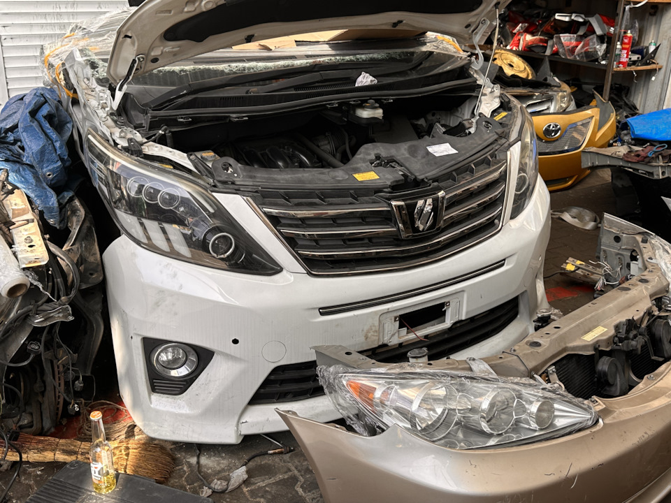 Сколько стоит такой бампер? — Toyota Alphard (2G), 3,5 л, 2008 года ...