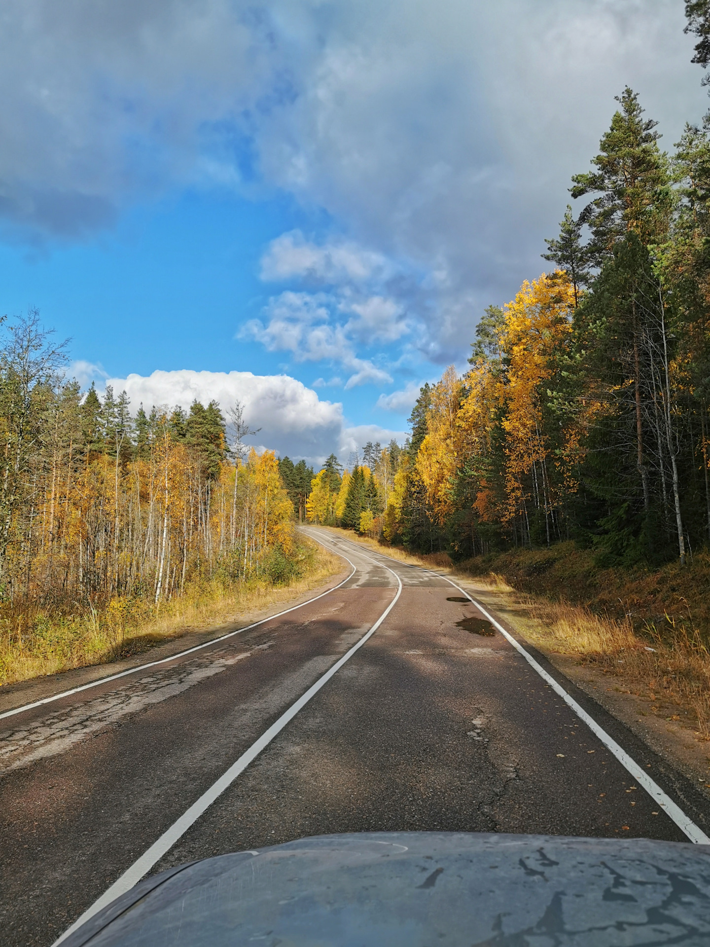 В карелии дорого. Карелия. Дорога а 135. Карелия трасса осень. Серпантин в Карелии. Александровская дорога Карелия.