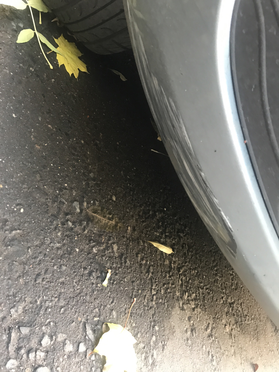 Задел Длинный бордюр — Renault Logan (1G), 1,6 л, 2011 года | ДТП | DRIVE2