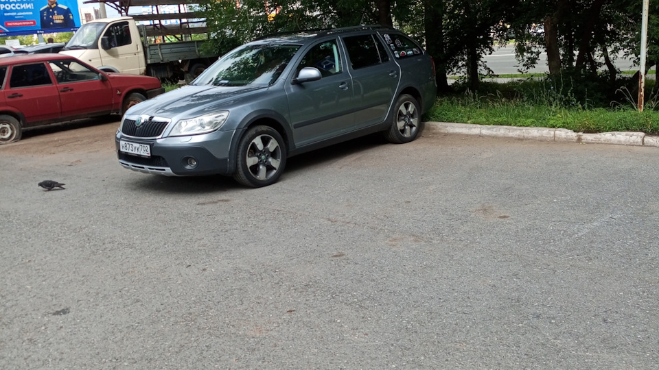 Skoda Octavia Scout Вечный