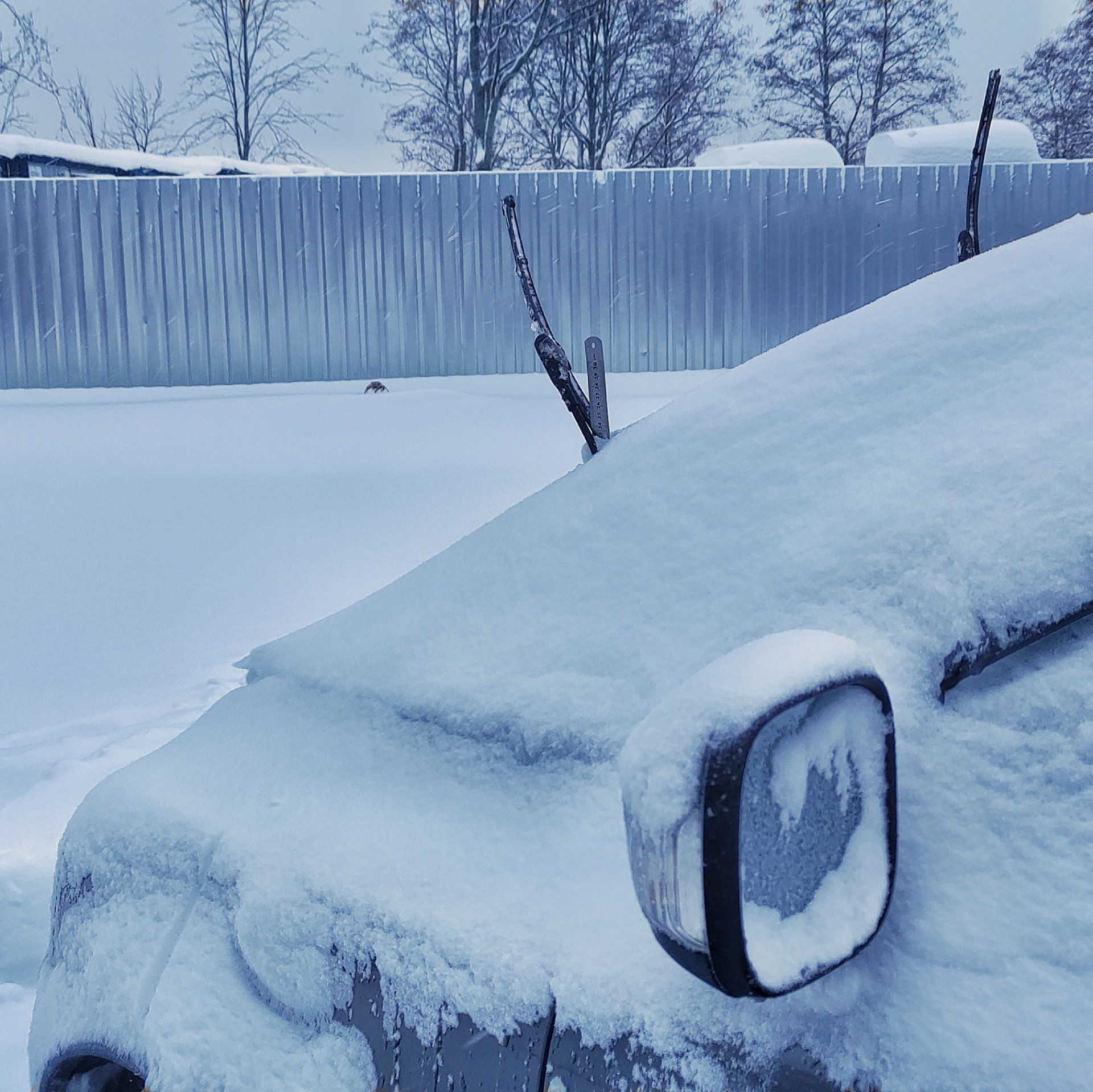 Немного жизненного… — Volvo XC90 (1G), 2,4 л, 2010 года | просто так ...