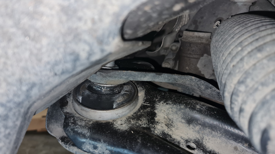 Фото в бортжурнале Skoda Kodiaq (1G)