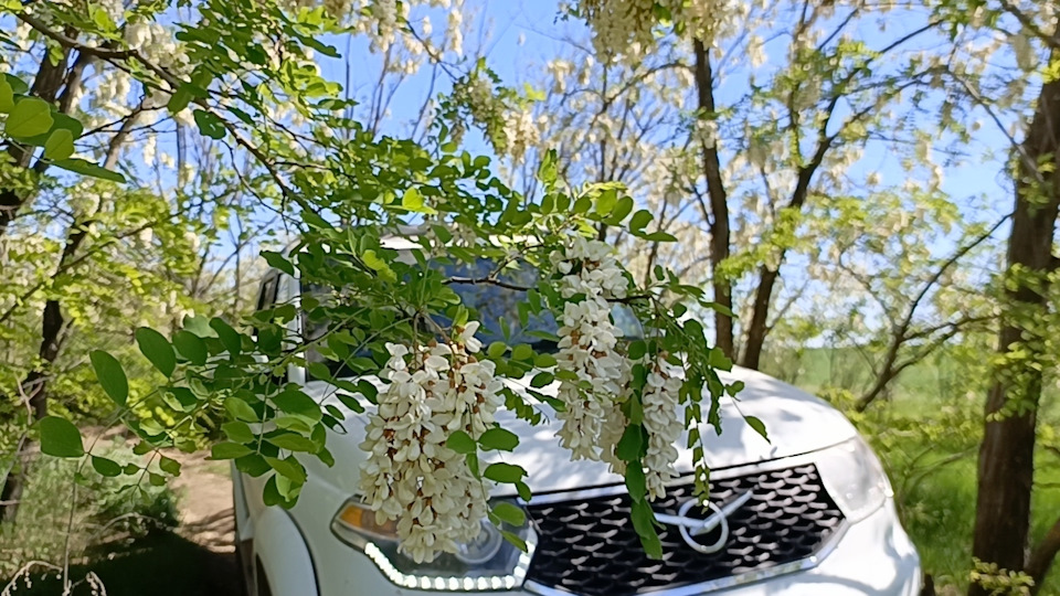 Фото в бортжурнале УАЗ Patriot