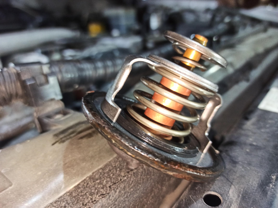 антифриз ленд крузер 100