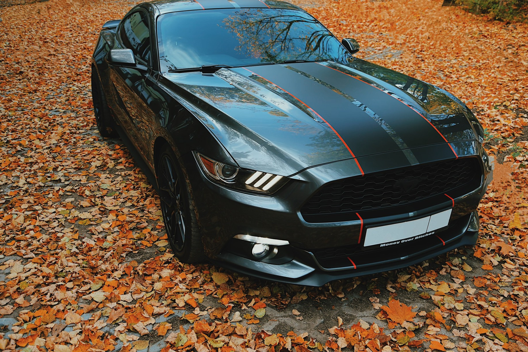 Ford mustang gt 2023