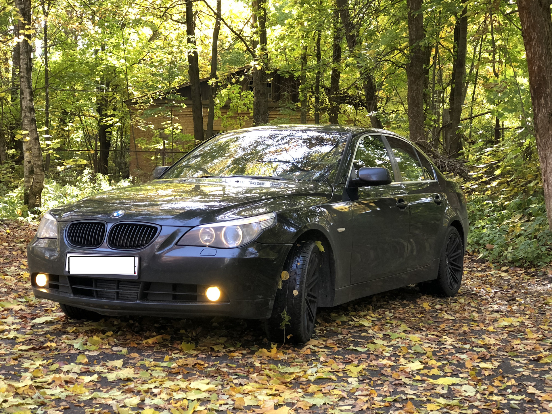 5 series e60. BMW 5 e60. BMW Series e60. BMW 5 Series e60 чёрный.