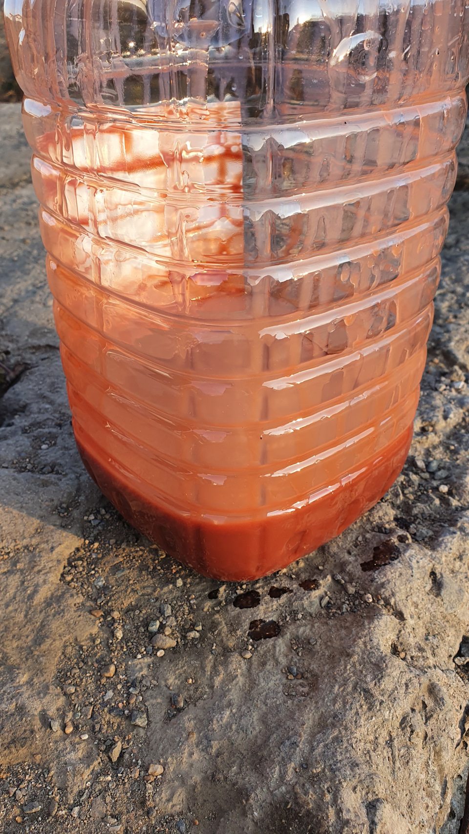 Сезонное ТО. Эмульсия в редукторе😲 — Nissan Bluebird Sylphy (G11), 1,5 ...