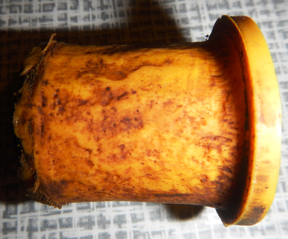 Фото в бортжурнале Audi 80 (B4)