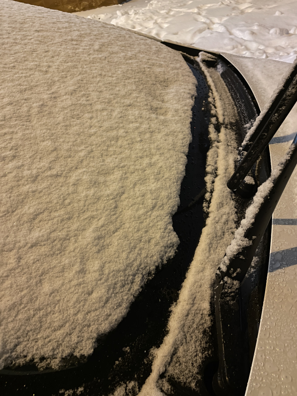 Подогрев зоны покоя дворников — Toyota Prius Alpha, 1,8 л, 2015 года ...