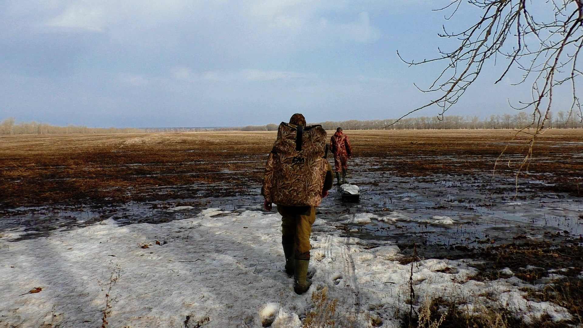 Весенняя охота. Охота на солнцепеках весной. Сроки весенней охоты 2024 в новосибирской области