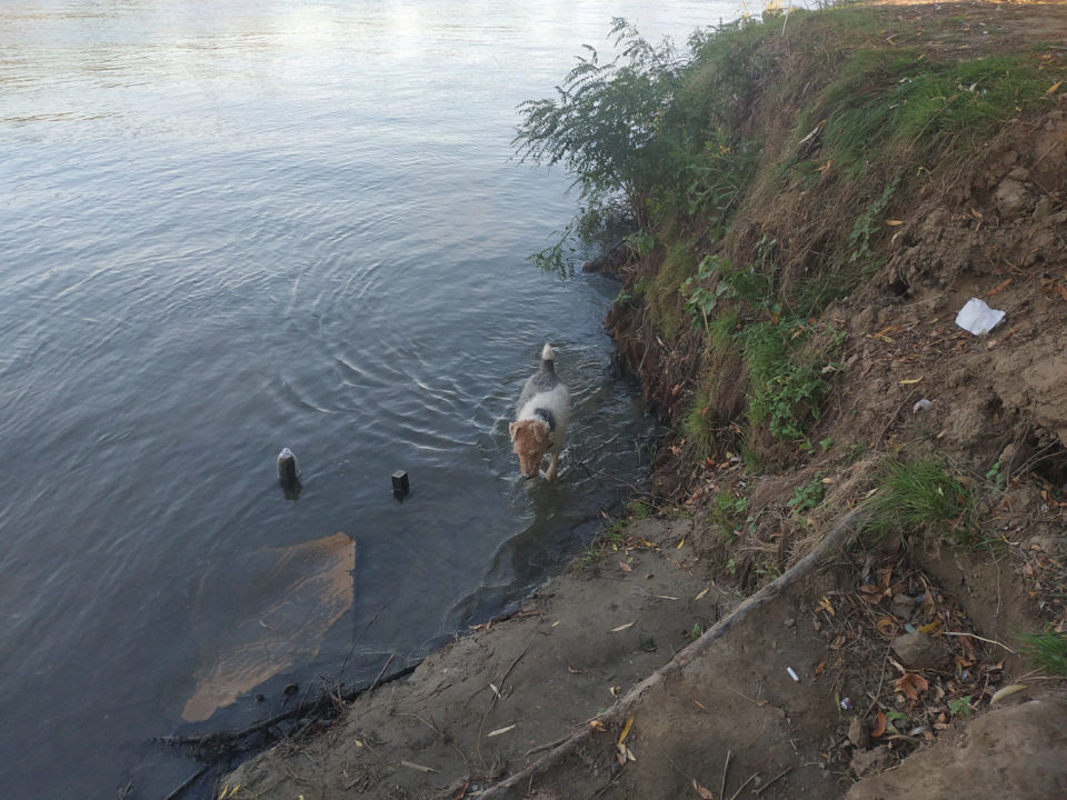 Фото в бортжурнале Mitsubishi Pajero (4G)