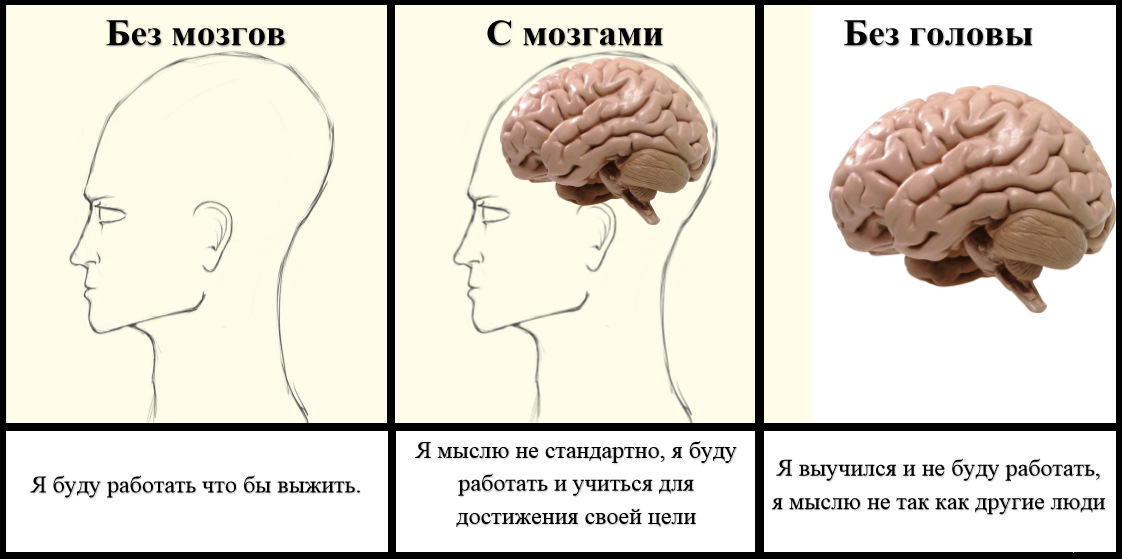 Фразы лоб. Мозг думает. Мозг в голове.