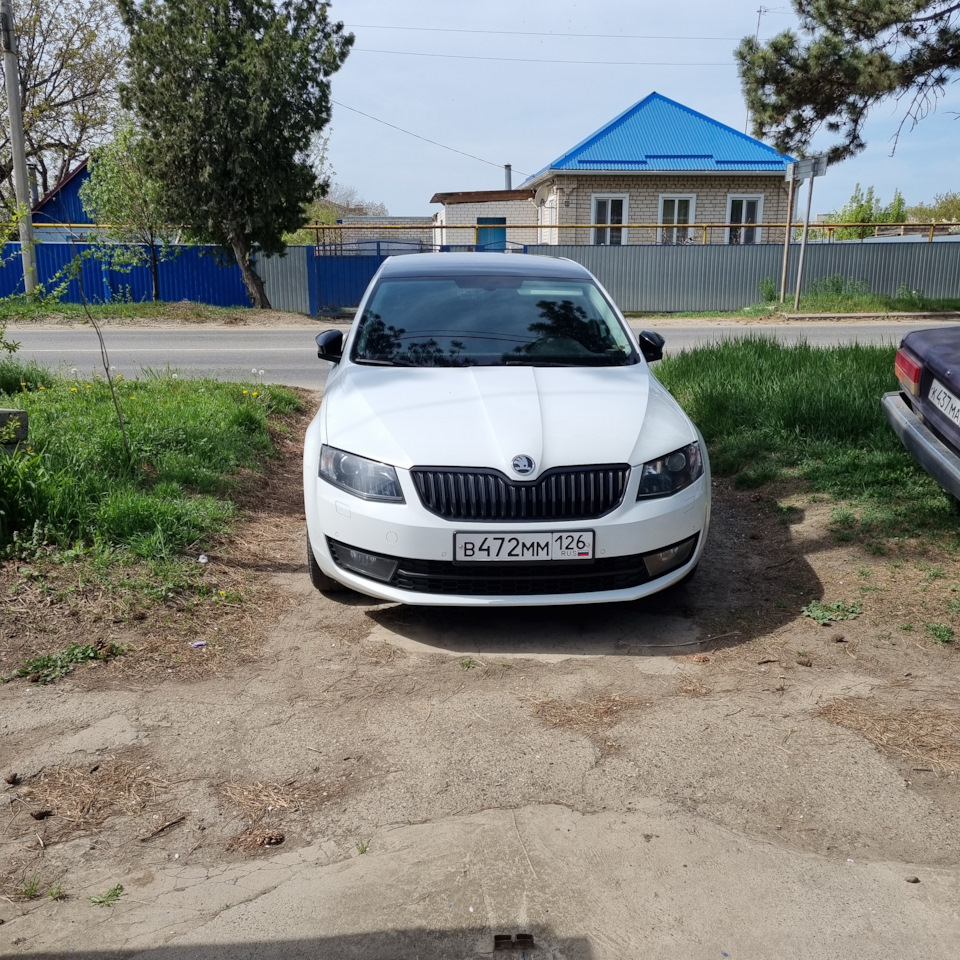 Моя новая любовь — Skoda Octavia A7 Mk3, 1,4 л, 2017 года | покупка машины  | DRIVE2