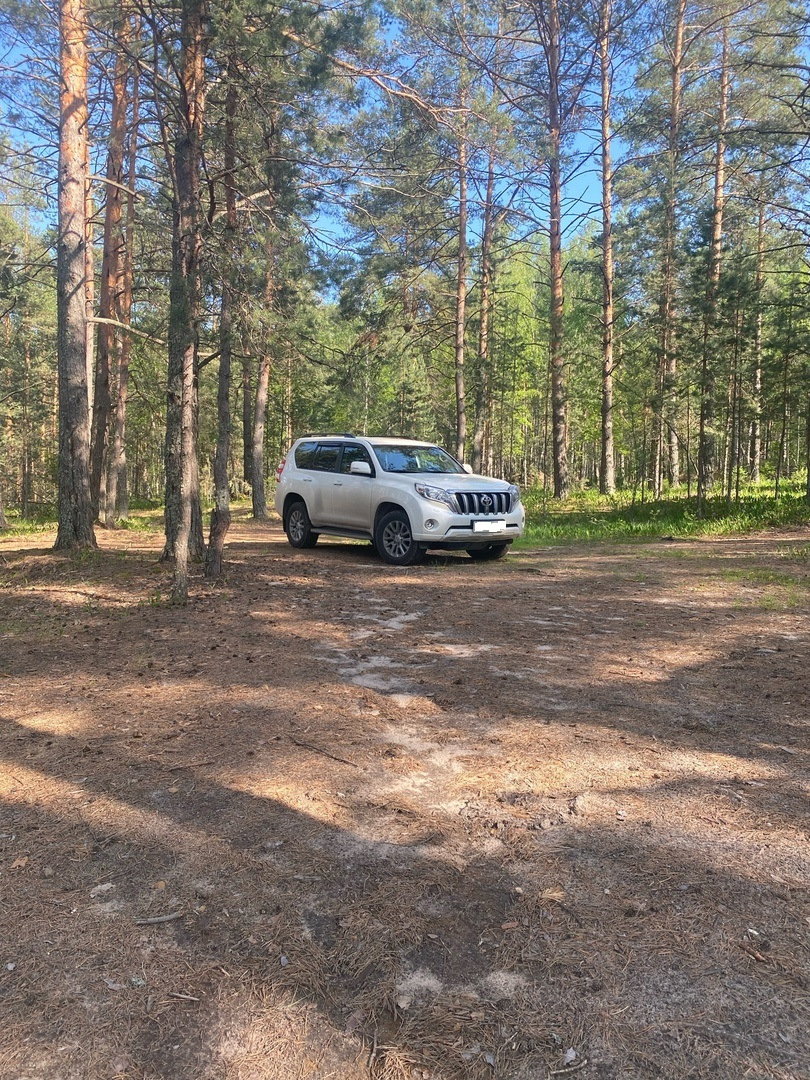 Поездка на Светлые озера и в поселок Фролищи — Toyota Land Cruiser Prado  150-series, 2,8 л, 2017 года | путешествие | DRIVE2