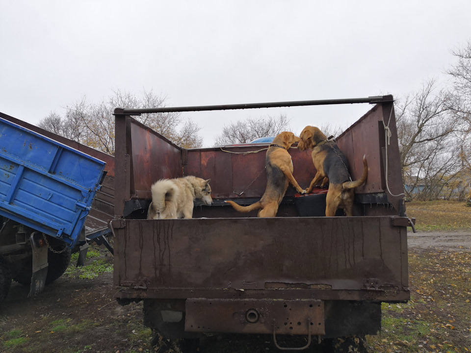 M111 Печка не дует горячим (исправлено) — Mercedes-Benz E-class (W210 ...