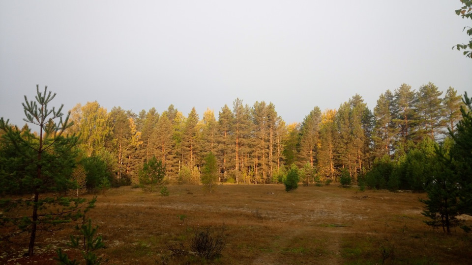 Фото в бортжурнале УАЗ Patriot
