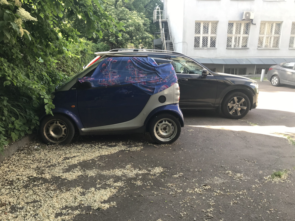 Штепсель и Тарапунька ))) — Volvo XC90 (2G), 2 л, 2019 года | просто ...