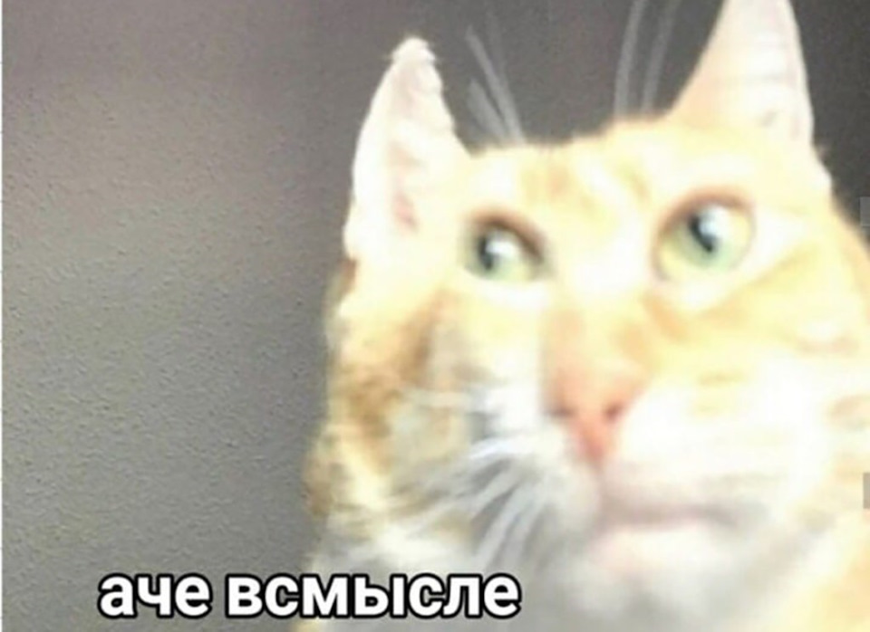SoiAgWW1xUMMIE6eCgF7ZVXslao-960.jpg