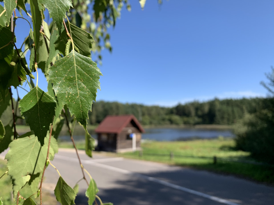 Ниссан террано не включается полный привод - 91 фото