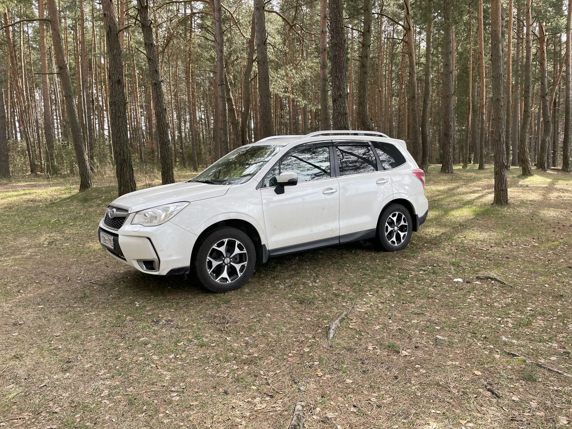 Поездка в Беларусь 2023 (Минск — Гродно — Брест) — Subaru Forester (SJ),  2,5 л, 2014 года | путешествие | DRIVE2