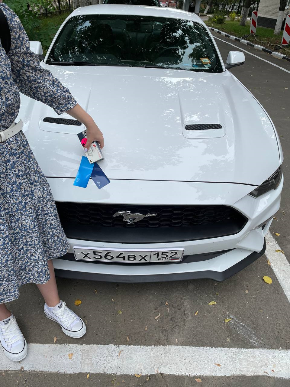 Колхоз — дело добровольное — Ford Mustang (6G), 2,3 л, 2019 года | стайлинг  | DRIVE2