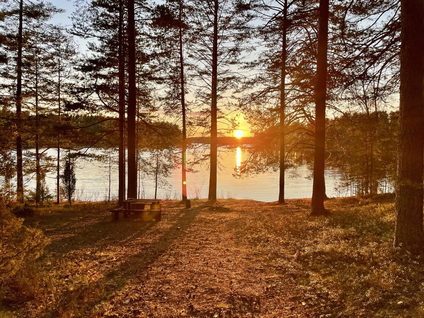 здесь можно любоваться красотой озера ильмень