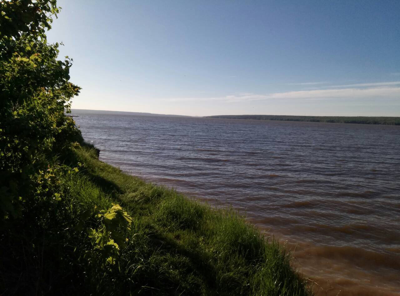 Сурское водохранилище в Пензе