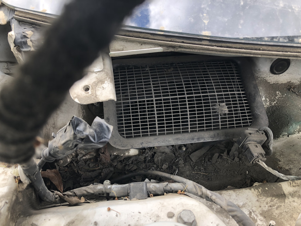 Потеет лобовое … — Volkswagen Passat CC, 1,8 л, 2012 года | другое | DRIVE2