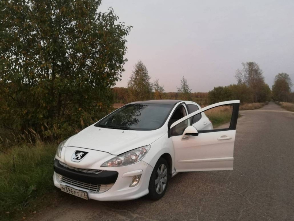 Куда же без gearbox faulty — Peugeot 308 (1G), 1,6 л, 2010 года