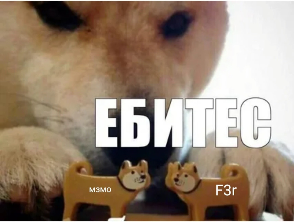 4 собаки друг на друге мем Пациент более жив, чем мертв - Москвич 2140, 1,5 л, 1979 года стайлинг DRIVE2