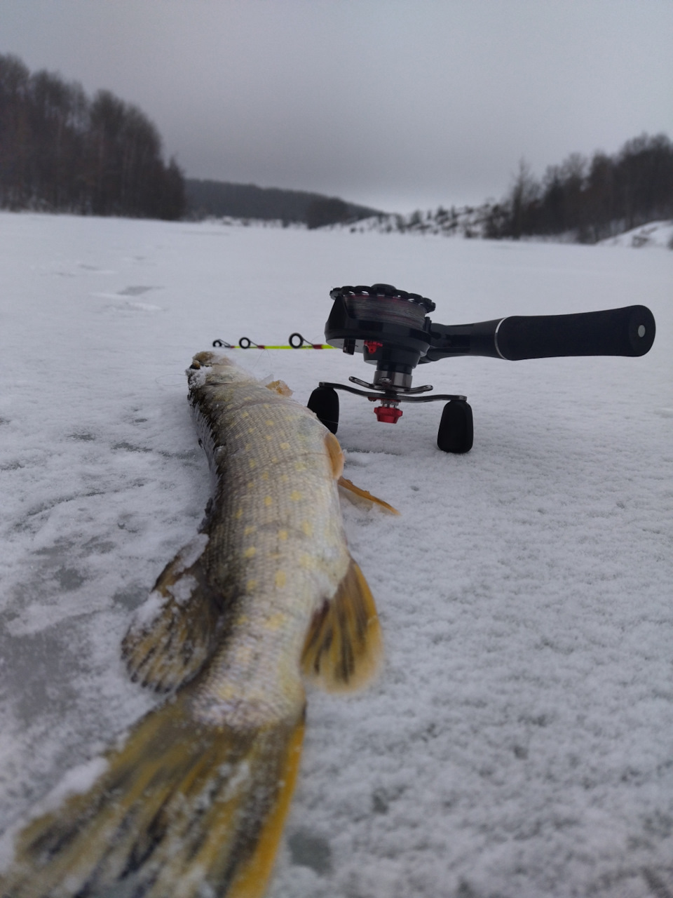 Щетки стеклоочистителя (дворники). Логан #1 — Renault Logan (1G), 1,4 л ...