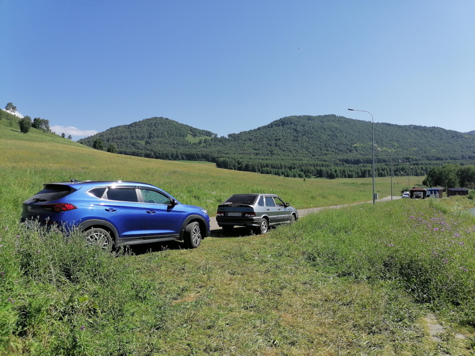 ATF Oil. Toyota WS vs. Analog — Toyota Venza (1G), 2,7 л, 2013 года ...