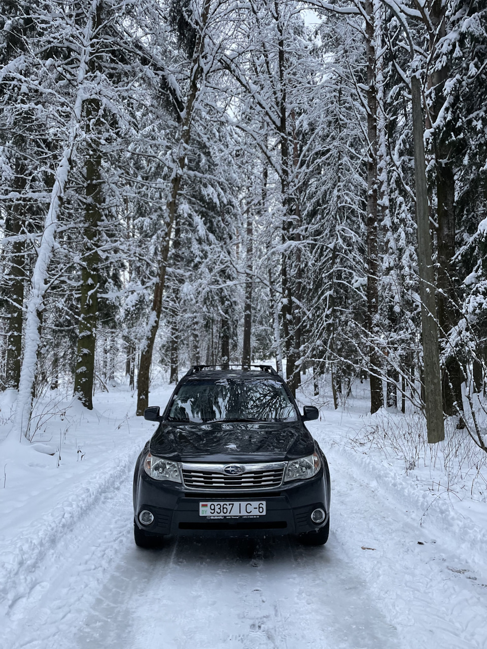 Зимний фотосет и продажа Subaru — Subaru Forester (SH), 2,5 л, 2009 года |  продажа машины | DRIVE2