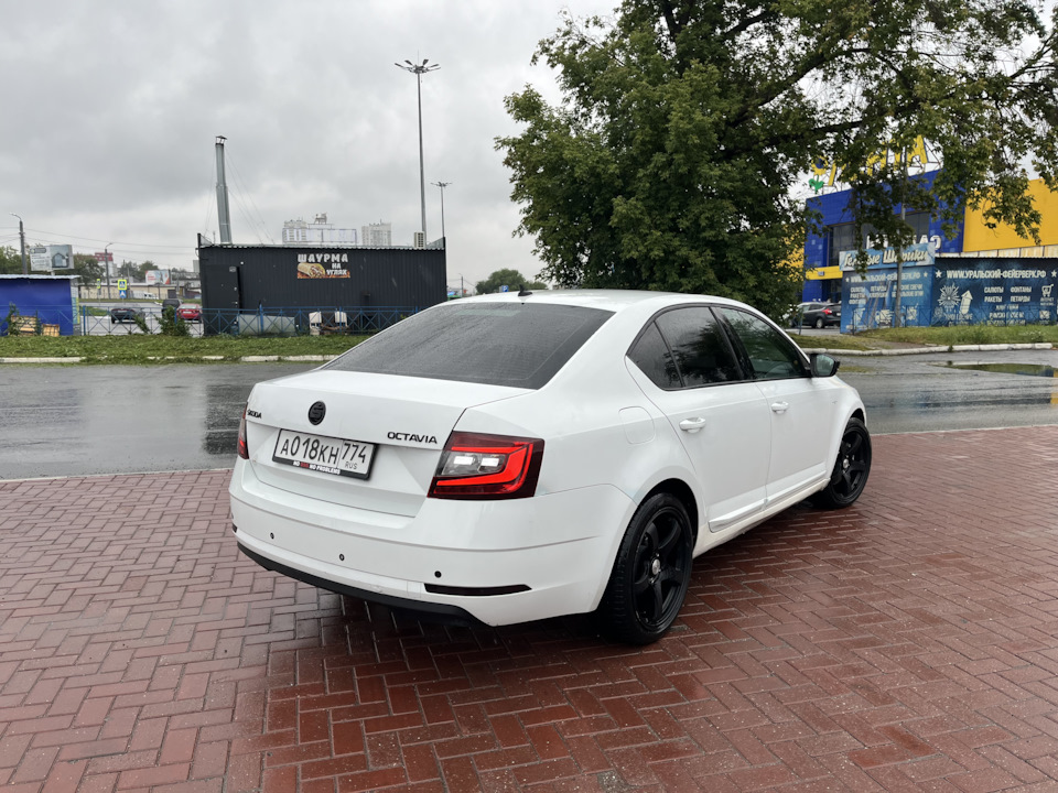 Фото в бортжурнале Skoda Octavia A7 Mk3