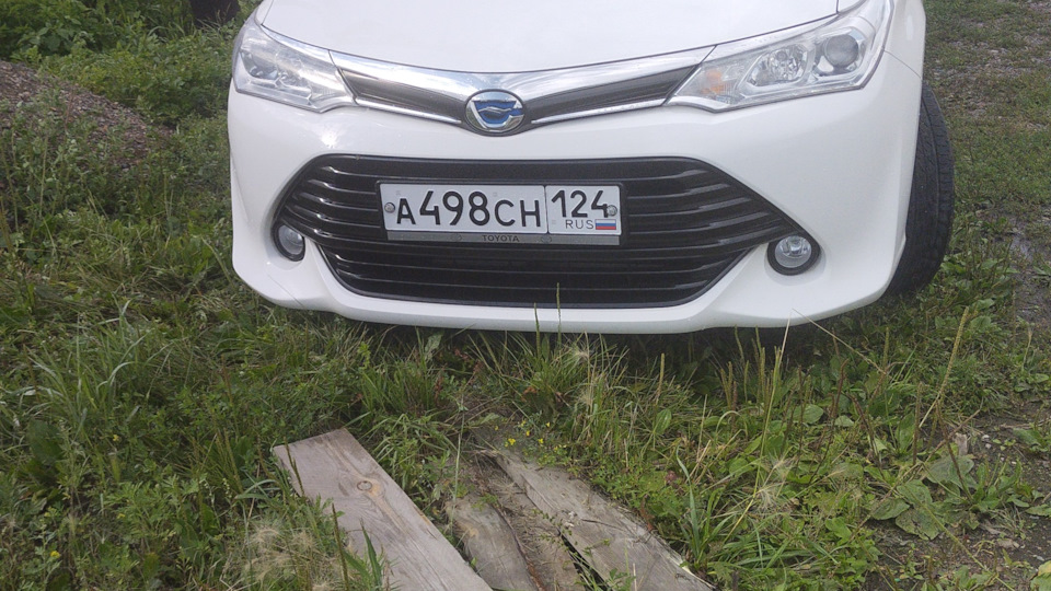 Опять масло. — Toyota Corolla Fielder Hybrid, 1,5 л, 2016 года ...