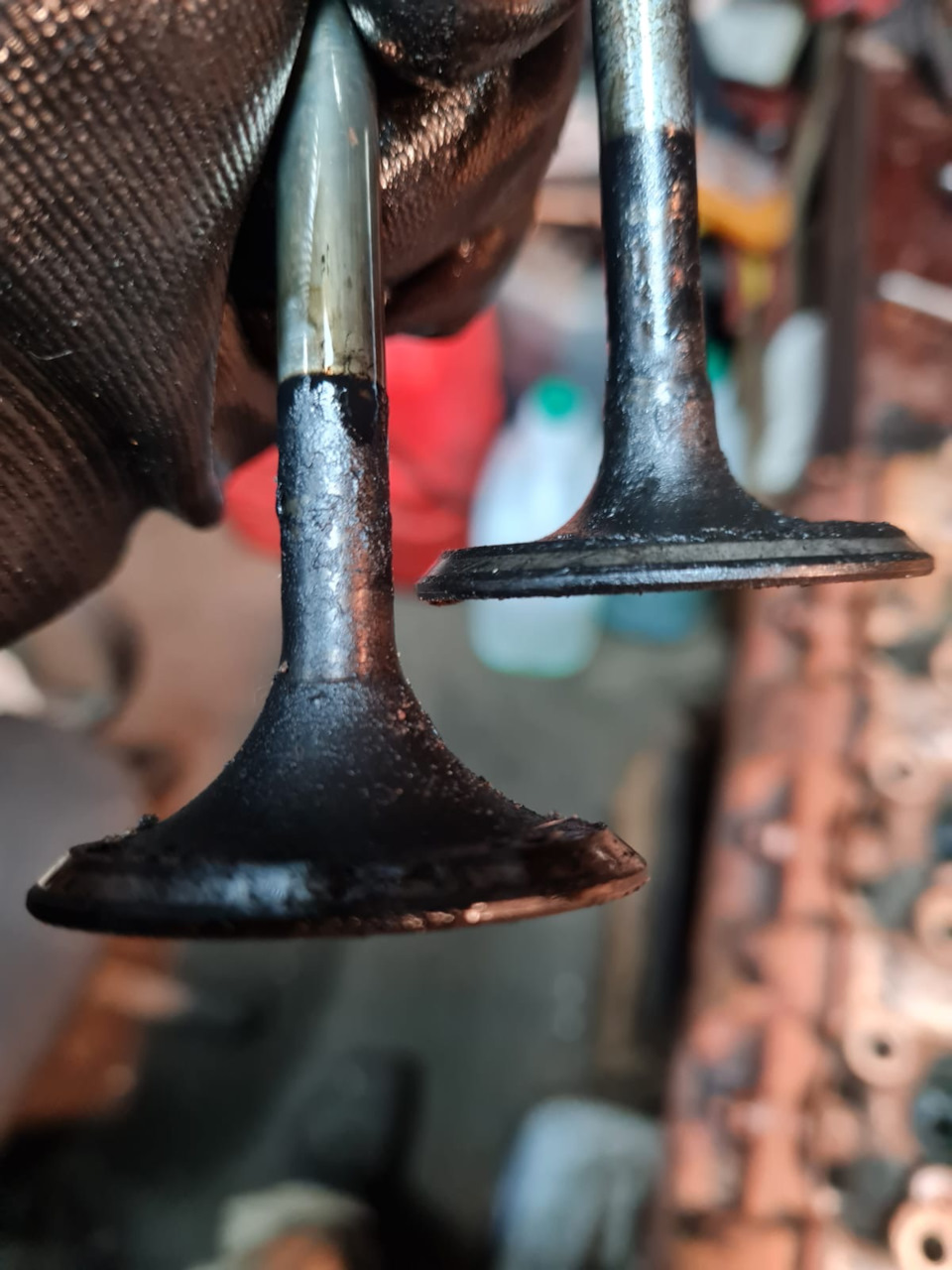 Фото в бортжурнале ГАЗ 31013