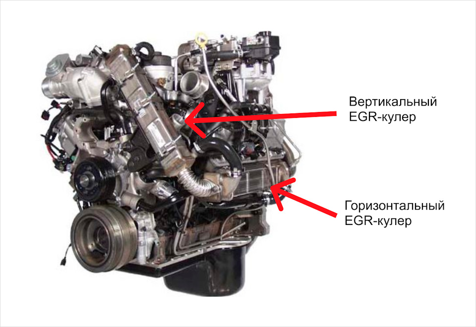 Egr система в автомобиле что такое. Смотреть фото Egr система в автомобиле что такое. Смотреть картинку Egr система в автомобиле что такое. Картинка про Egr система в автомобиле что такое. Фото Egr система в автомобиле что такое
