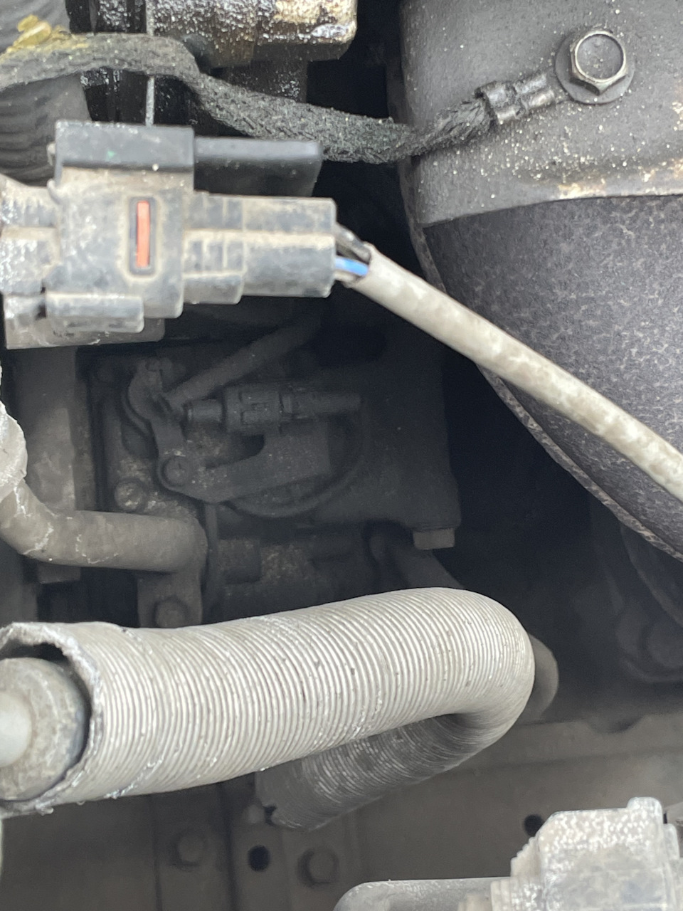 Фото в бортжурнале Suzuki SX4 (1G)