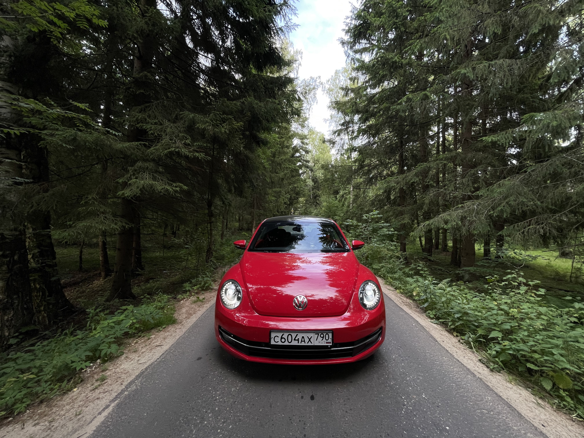 Немного лесной эстетики — Volkswagen Beetle (A5), 1,4 л, 2014 года ...