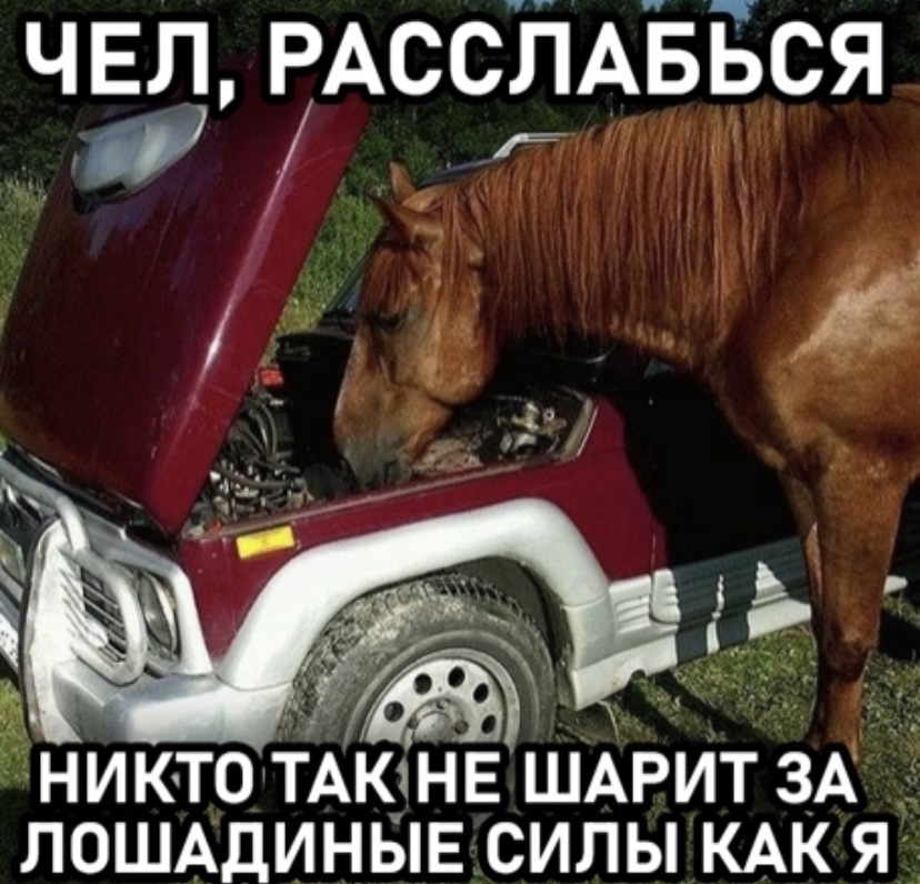 Лошадиные🐴 силы — Mitsubishi Pajero (3G), 3,5 л, 2005 года | наблюдение ...