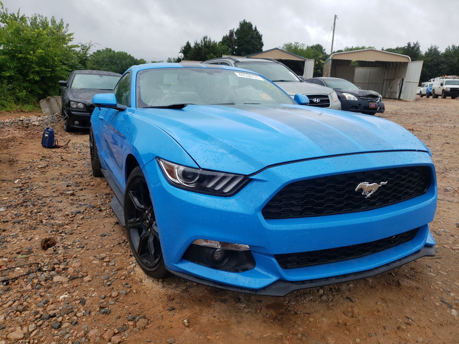 Ford Mustang 1fa