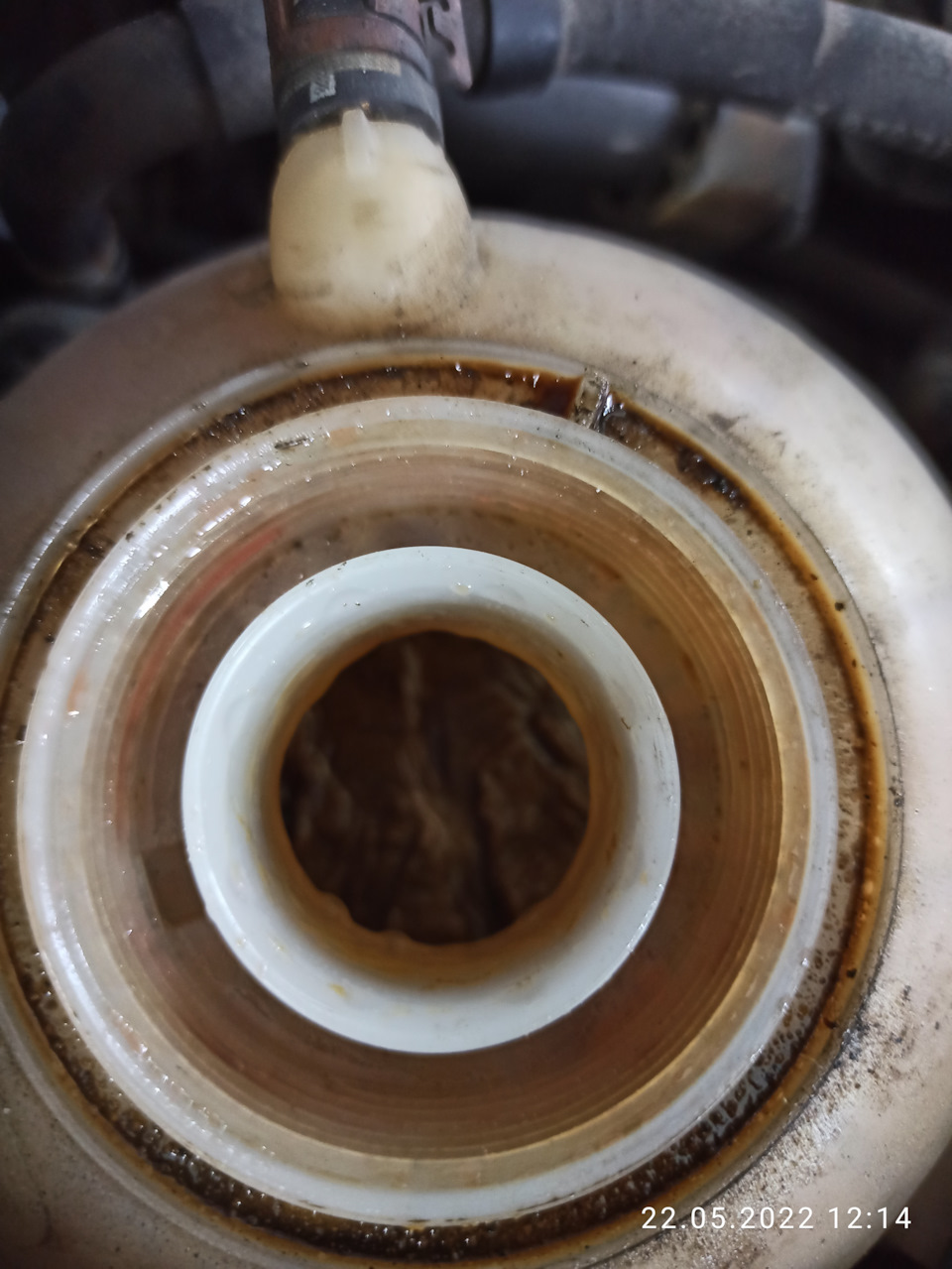 Масло в расширительном бачке — Skoda Octavia A5 Mk2, 1,8 л, 2012 года ...