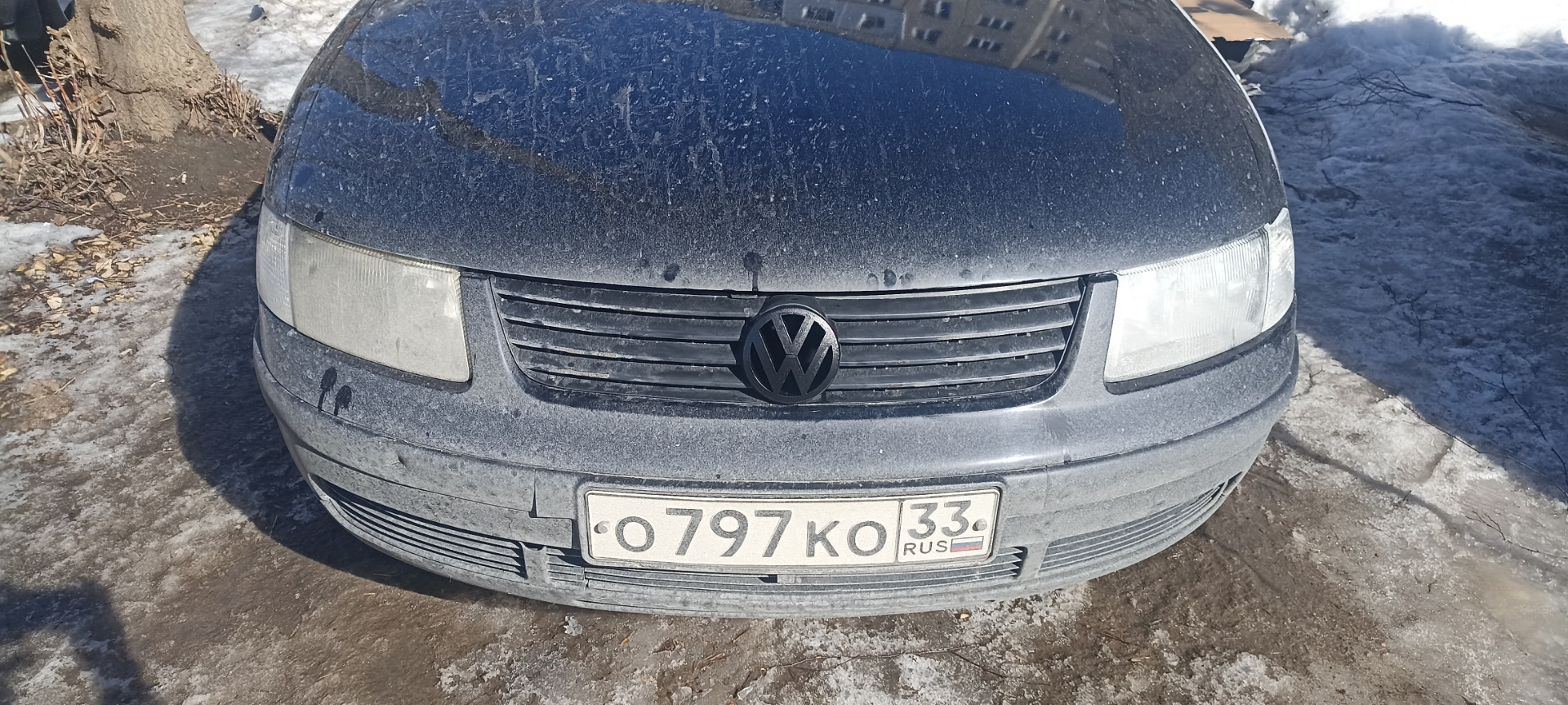 Значок Volkswagen Passat