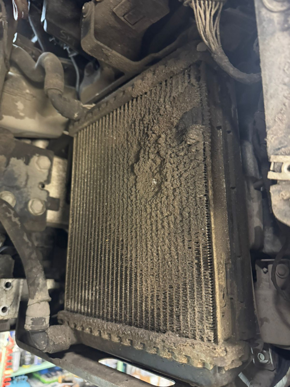 Фото в бортжурнале BMW X7 (G07)