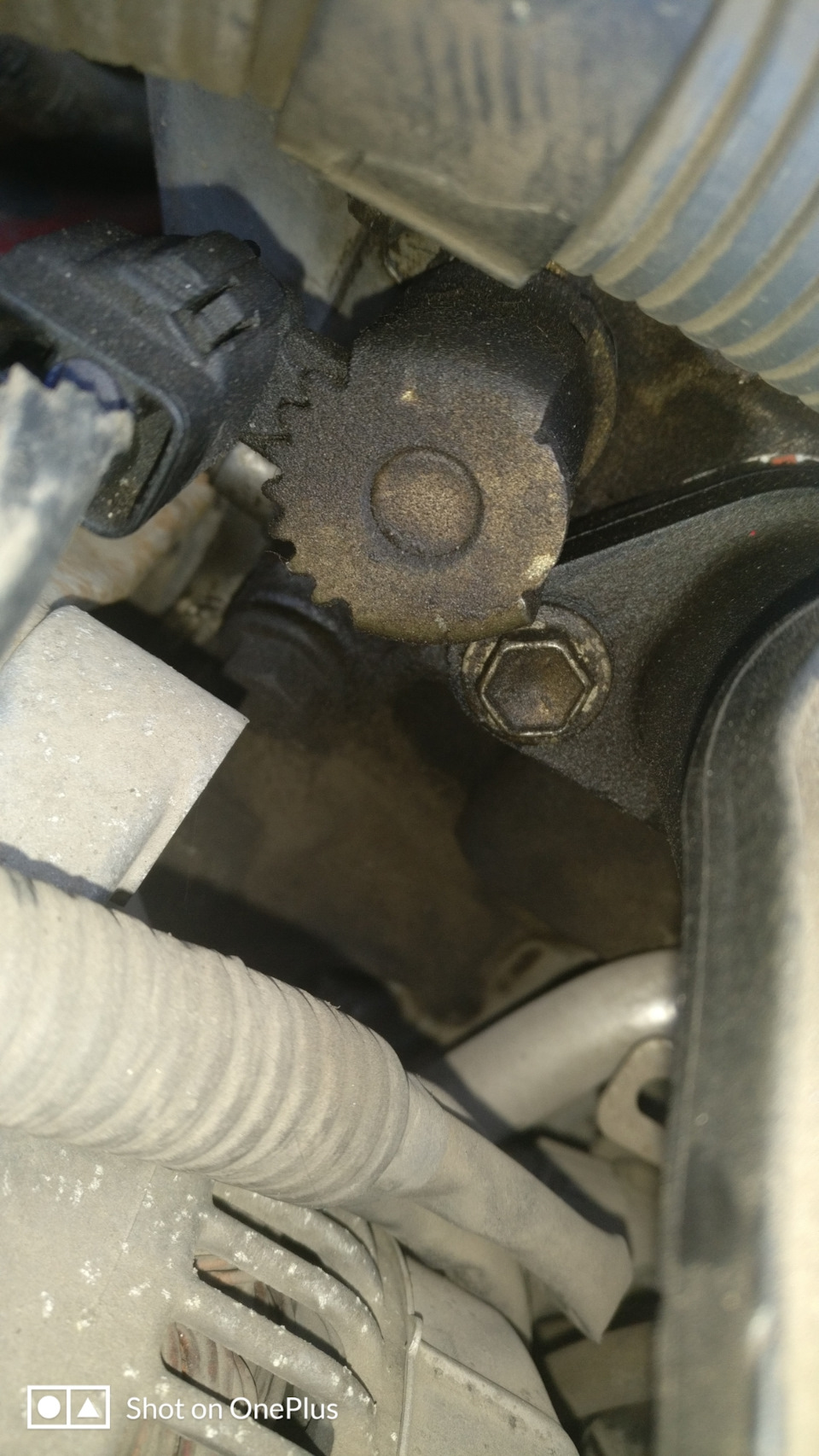 Фото в бортжурнале Toyota Corolla (120)