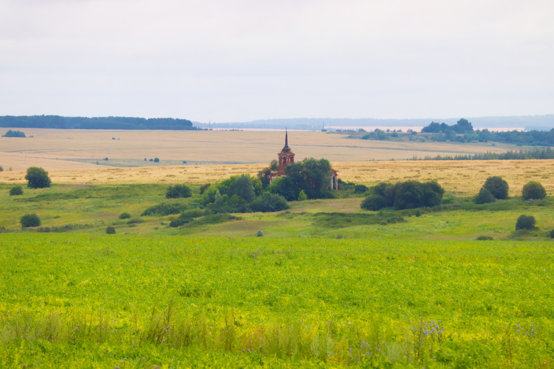 Княгинино вологодская область. Княгинино Нижегородская область. Княгинино пейзаж. Сергач поля.