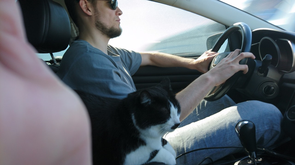 Фото в бортжурнале Mazda CX-7